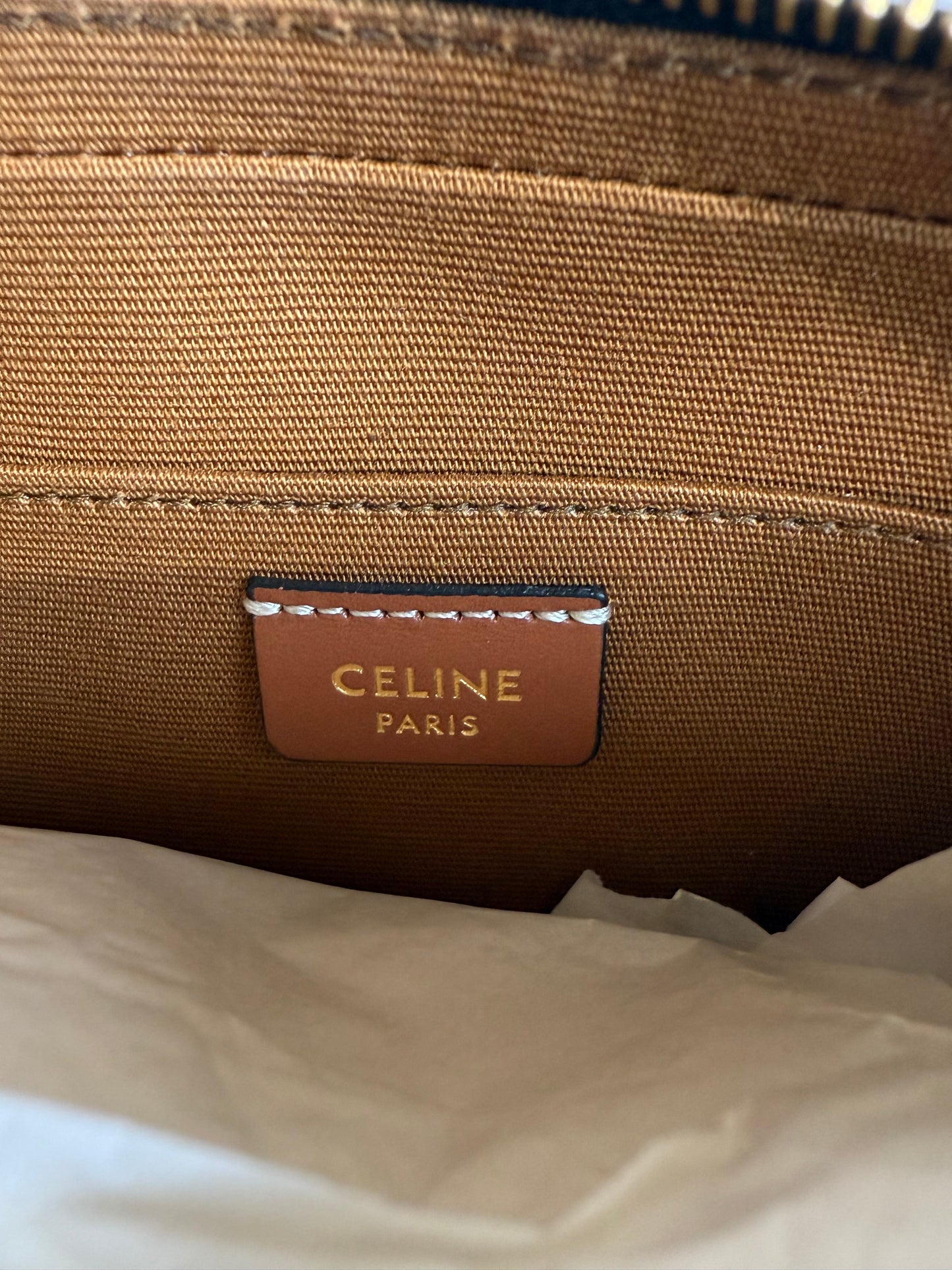 Celine Triomphe Canvas Mini Camera Shoulder Bag