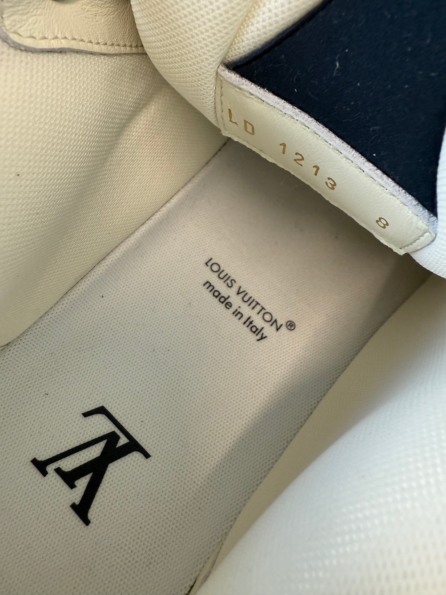 Louis Vuitton LV Skate Sneaker