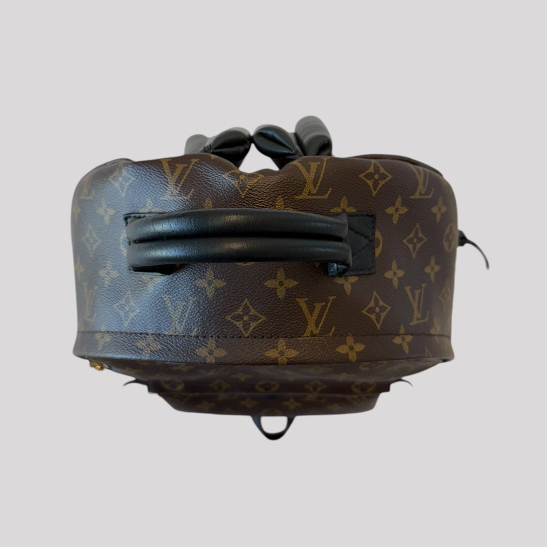 Louis Vuitton Palm Springs MM Monogram Backpack