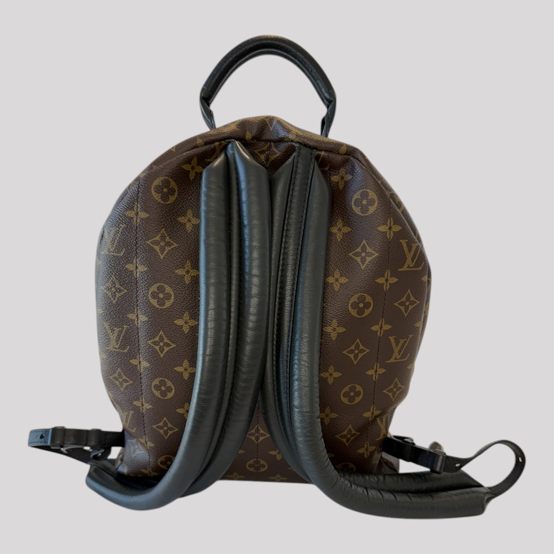 Louis Vuitton Palm Springs MM Monogram Backpack