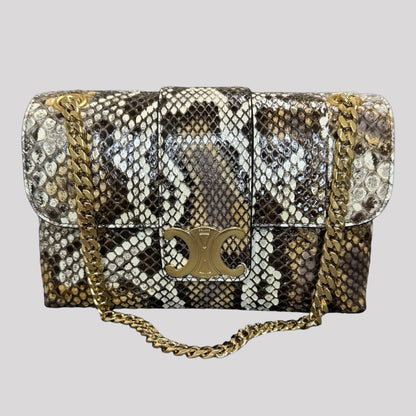 Celine Teen Victoire Python Bag