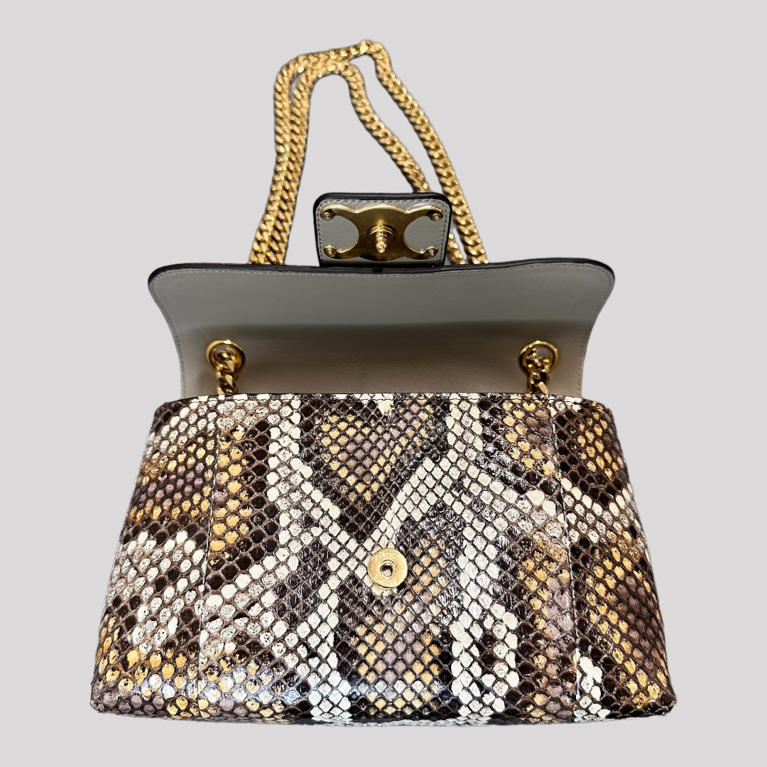 Celine Teen Victoire Python Bag