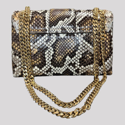 Celine Teen Victoire Python Bag