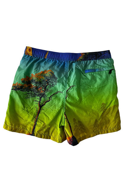 Valentino Dragon At Dawn Print Swim Shorts