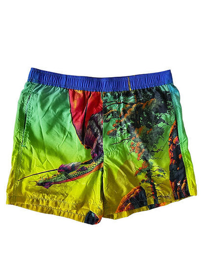 Valentino Dragon At Dawn Print Swim Shorts