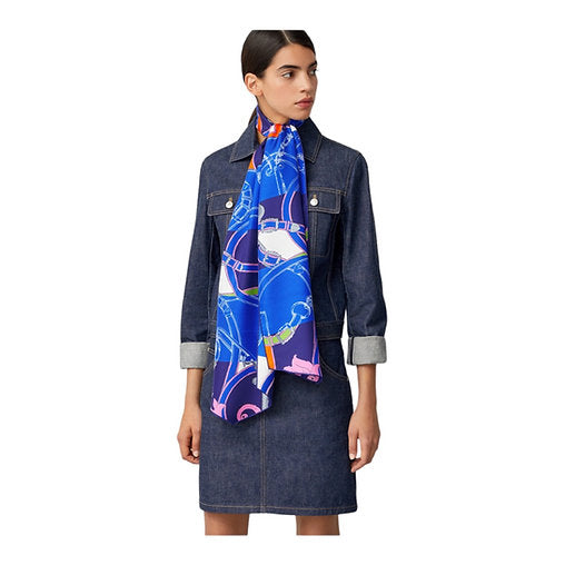 Hermes L'instruction Du Roy Bayadere Silk Muffler