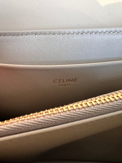 Celine Teen Victoire Python Bag