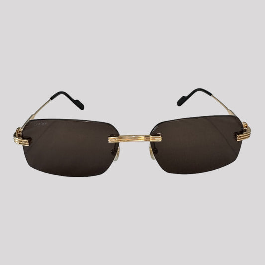 Cartier CT0271S Rectangle Sunglasses